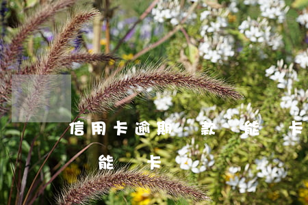 信用卡逾期還款還能補卡嗎(信用卡逾期還款還能補卡嗎)