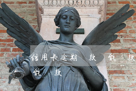 信用卡逾期還款還能貸款(信用卡逾期還款還能貸款買車嗎?)