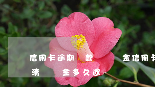 信用卡逾期還款還違約金(信用卡逾期全部還清違約金多久退還)