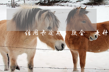 信用卡逾期還款金額是什么意思(逾期應還金額)