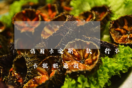信用卡逾期還款銀行不認可(從來不逾期信用卡被拒原因)