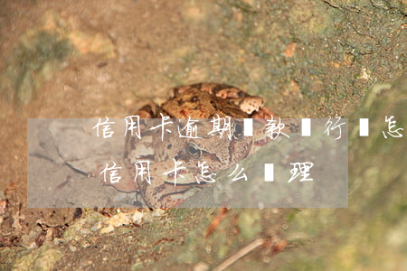 信用卡逾期還款銀行會怎么處理 逾期還清的信用卡怎么處理