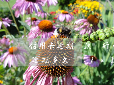 信用卡逾期還款銀行起訴后果(欠銀行信用卡逾期多久會(huì)被起訴)