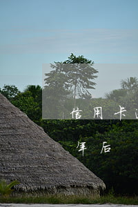 信用卡逾期還款銷卡四年(信用卡逾期銷卡五年后)