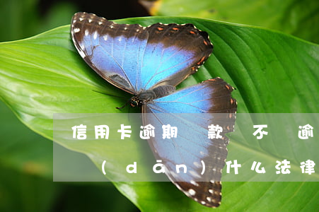 信用卡逾期還款難不難(逾期還信用卡需要承擔(dān)什么法律責(zé)任)