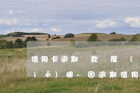 信用卡逾期還款額度會(huì)凍結(jié)嘛-因逾期信用卡被凍結(jié)了還能解凍嗎