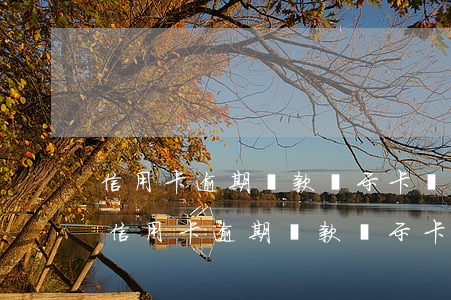 信用卡逾期還款顯示卡狀態(tài)異常(信用卡逾期還款顯示卡狀態(tài)異常怎么辦)