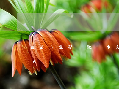 信用卡逾期還款顯示失敗(還信用卡逾期了怎么辦)