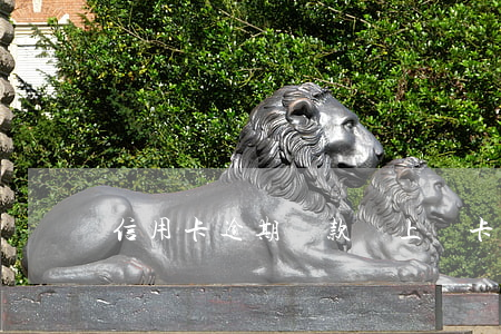 信用卡逾期還款馬上銷卡(信用卡還完馬上注銷)