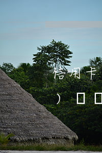 信用卡逾期還沒(méi)上錢(qián)凍結(jié)怎么辦