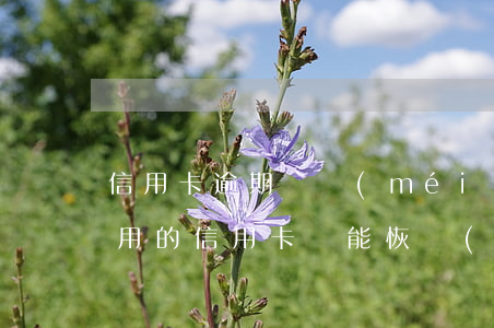 信用卡逾期還沒(méi)被停卡-逾期停用的信用卡還能恢復(fù)嗎