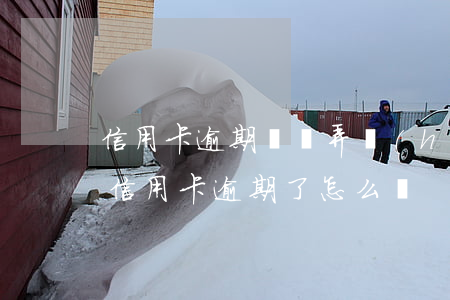 信用卡逾期還沒弄護(hù)照嗎-拘留后信用卡逾期了怎么辦