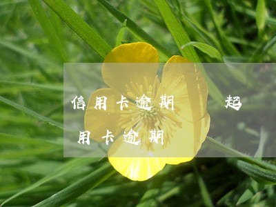 信用卡逾期還沒起訴會拘留嗎(如果被拘留信用卡逾期)