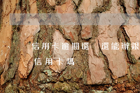 信用卡逾期還沒還能辦銀行卡嗎(逾期還能辦信用卡嗎?)