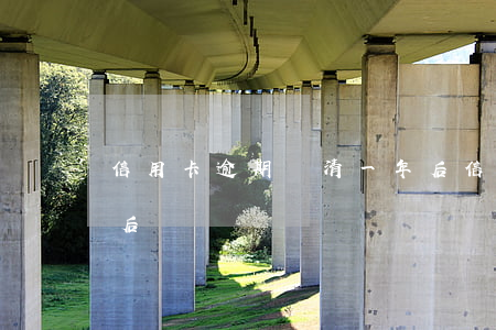 信用卡逾期還清一年后(信用卡逾期還清一年后)