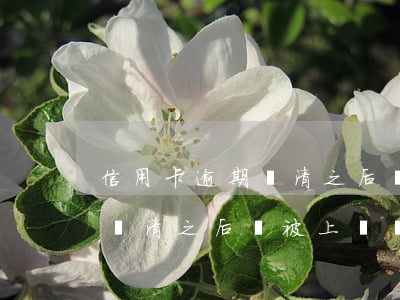信用卡逾期還清之后會被上訴嗎(信用卡逾期還清之后會被上訴嗎)