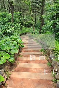 信用卡逾期還清之后注銷卡片(逾期后還清注銷卡片一直都有逾期信息嗎?)
