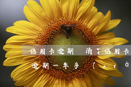 信用卡逾期還清了信用卡還能用嗎(我信用卡逾期一年多現(xiàn)在還掉了還可以用嗎)