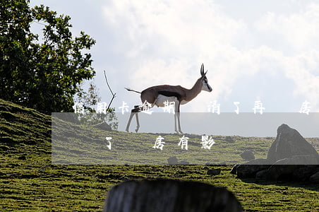 信用卡逾期還清了再買房(信用卡逾期了后來還了買房有影響嗎)