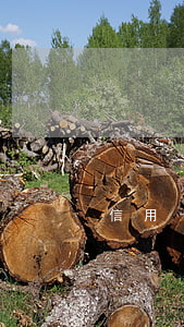 信用卡逾期還清了多久更新征信