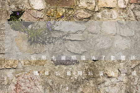 信用卡逾期還清了影響孩子上學(xué)嗎(征信逾期后還清后還會(huì)影響孩子上學(xué)嗎)