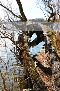 信用卡逾期還清了征信多久更新(還清了信用卡征信會立刻更新嗎)
