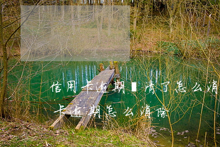 信用卡逾期還清了怎么消除征信(征信有信用卡逾期怎么消除)