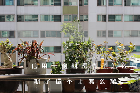 信用卡逾期還清了怎么用不了上海 信用卡逾期了還不上怎么辦