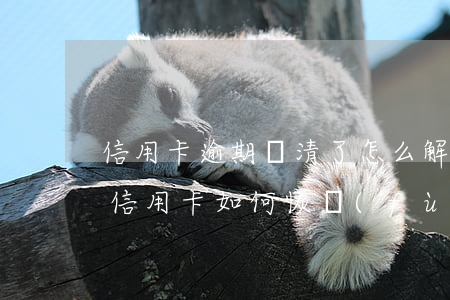 信用卡逾期還清了怎么解除征信(逾期后注銷信用卡, 如何恢復(fù)征信)