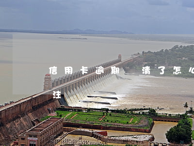 信用卡逾期還清了怎么銷卡(逾期的卡還完要注銷嗎)