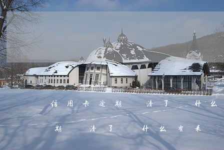 信用卡逾期還清了為什么有呆賬-信用卡逾期還清了為什么有呆賬記錄