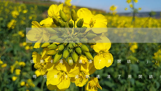 信用卡逾期還清了用開結(jié)清證明嗎(信用卡逾期還清了用開結(jié)清證明嗎)
