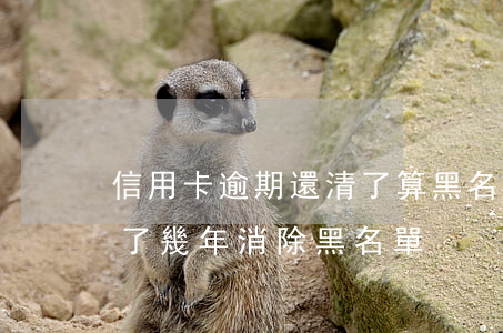 信用卡逾期還清了算黑名單(欠信用卡錢還清了幾年消除黑名單)