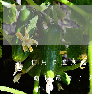 信用卡逾期還清了還有額度能用嗎-信用卡逾期還清了還有額度能用嗎知乎