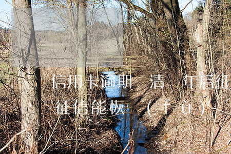 信用卡逾期還清兩年后征信(逾期兩年還款后 征信能恢復(fù)嗎)