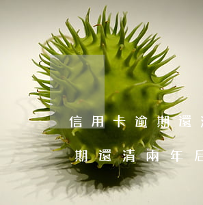 信用卡逾期還清兩年后能申請嗎-信用卡逾期還清兩年后能申請嗎