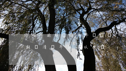 信用卡逾期還清半年還繼續(xù)用嗎(逾期還清兩年后可以申請(qǐng)信用卡嗎)