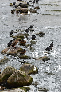 信用卡逾期還清卡還能用嗎(有逾期結(jié)清了還能辦信用卡嗎)