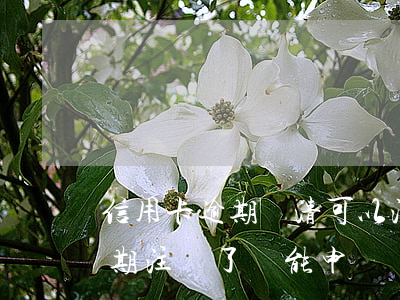 信用卡逾期還清可以注銷嗎(之前的信用卡逾期注銷了還能申請嗎)
