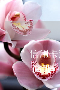 信用卡逾期還清后5年征信(嚴(yán)重逾期還款后5年征信)