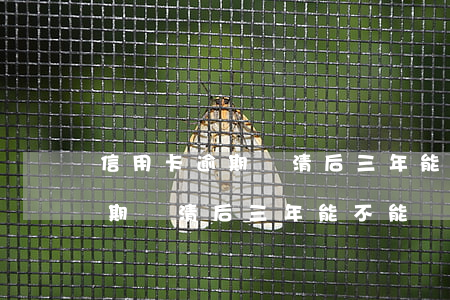 信用卡逾期還清后三年能不能辦-信用卡逾期還清后三年能不能辦銀行卡