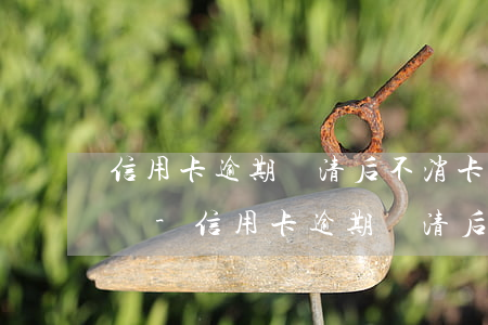 信用卡逾期還清后不消卡會(huì)怎么樣-信用卡逾期還清后不消卡會(huì)怎么樣嗎