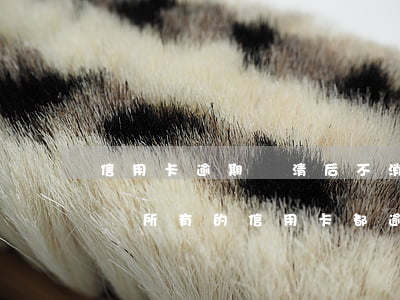 信用卡逾期還清后不消卡會(huì)怎么樣(所有的信用卡都逾期了還不上,怎么辦)