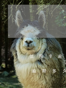信用卡逾期還清后再申請征信(之前有信用卡逾期多久可以恢復征信)