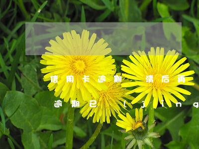 信用卡逾期還清后再開(kāi)卡(信用卡逾期已經(jīng)還清之后要怎么做)