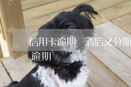 信用卡逾期還清后又分期(信用卡分期后再次逾期)