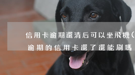 信用卡逾期還清后可以坐飛機(jī)嗎-逾期的信用卡還了還能刷嗎