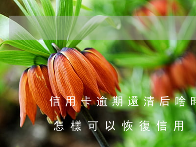 信用卡逾期還清后啥時恢復信用(逾期還清后怎樣可以恢復信用)