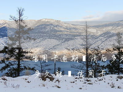 信用卡逾期還清后多久能再刷-逾期還清后多久能辦信用卡