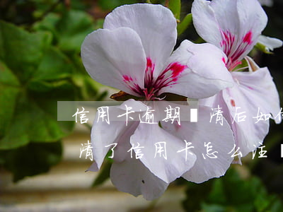 信用卡逾期還清后如何注銷(xiāo)(還清了信用卡怎么注銷(xiāo))